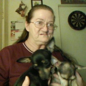 Meet your Posher, Colleen